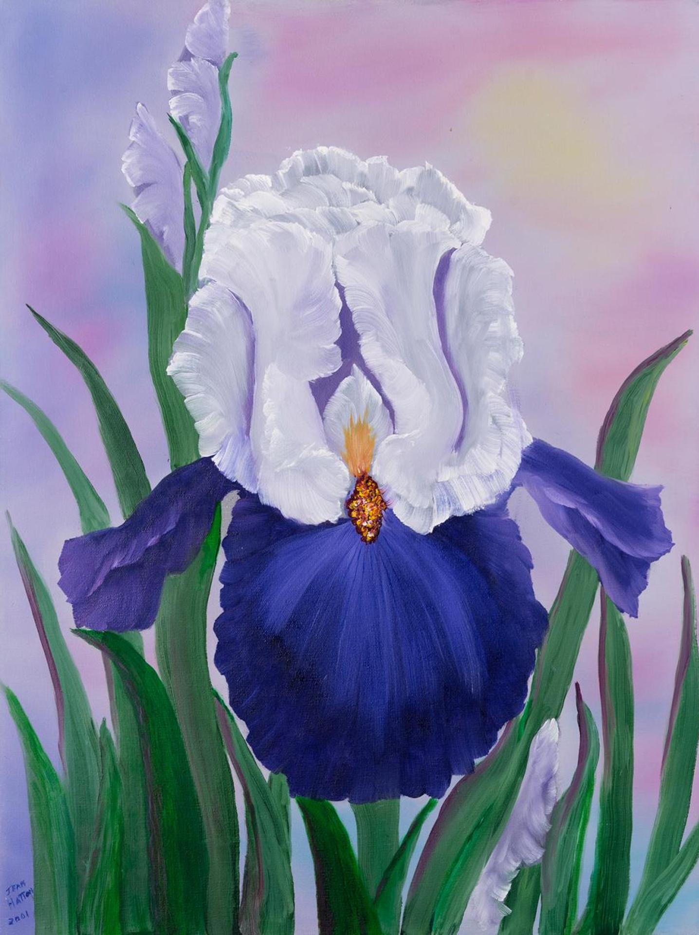 Jean Hatton - Untitled - Irises