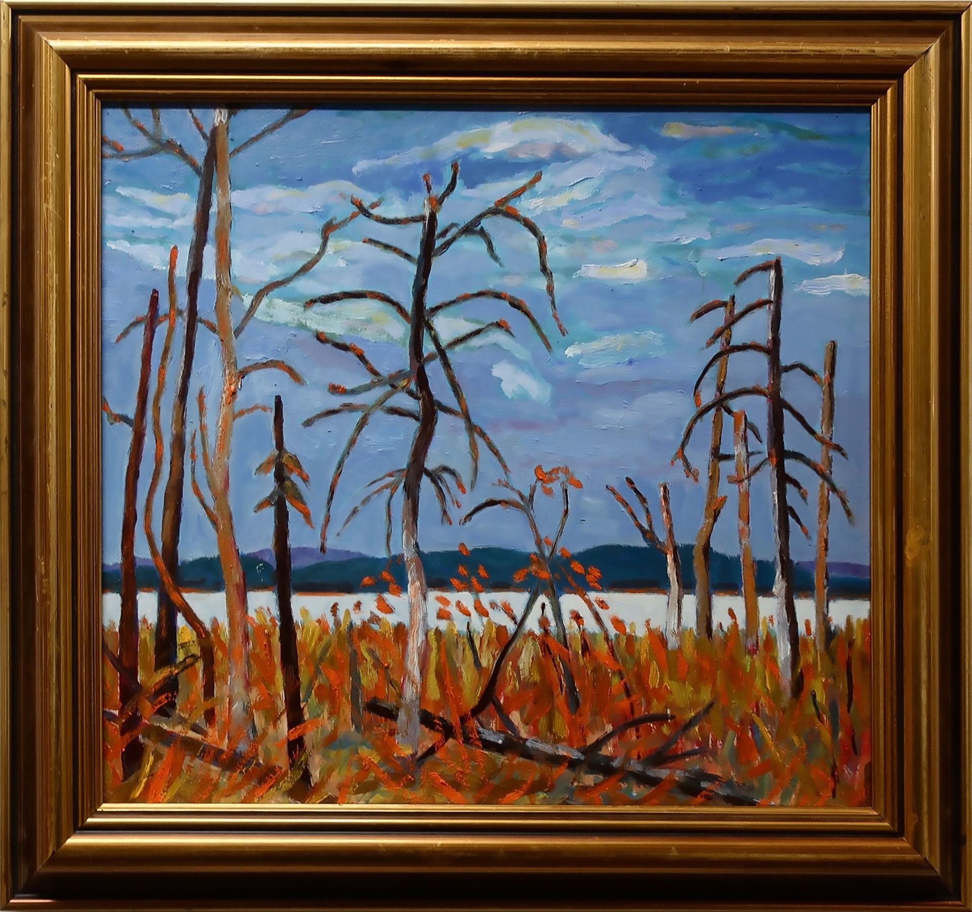 John Oliver (1939) - Tamarack Swamp