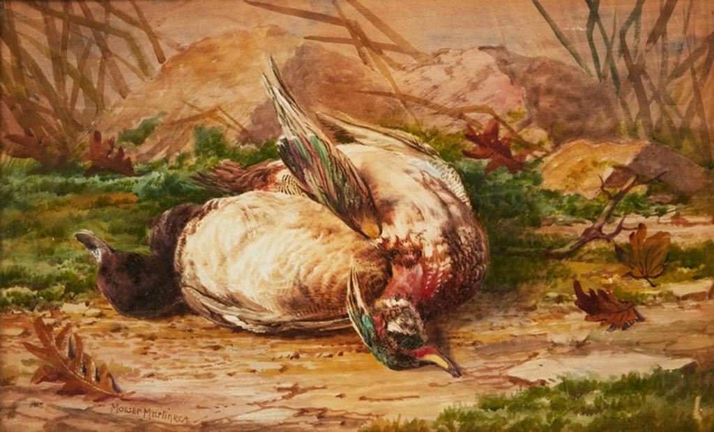 Thomas Mower Martin (1838-1934) - Still Life of Fowl