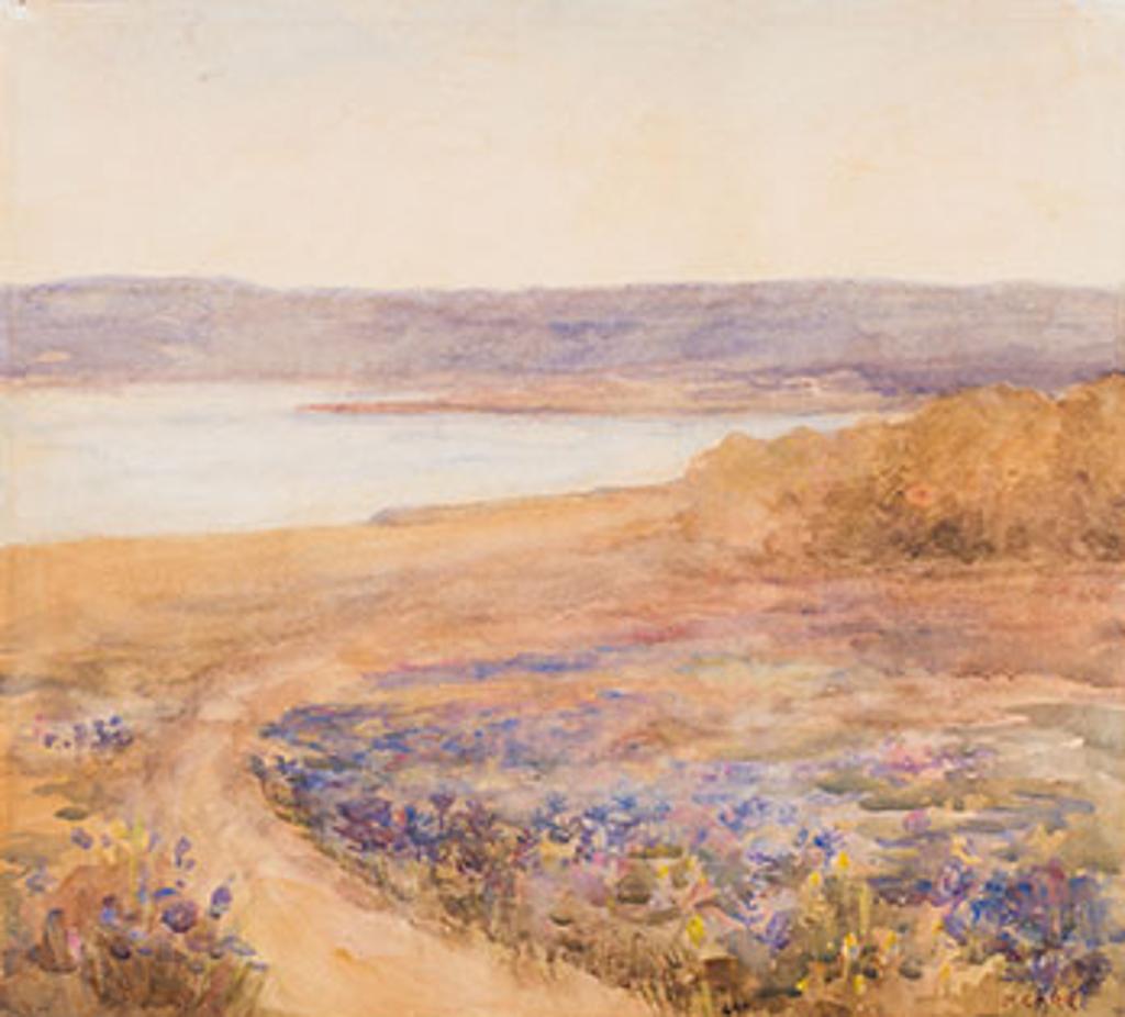 Emily Carr (1871-1945) - Sooke Hills