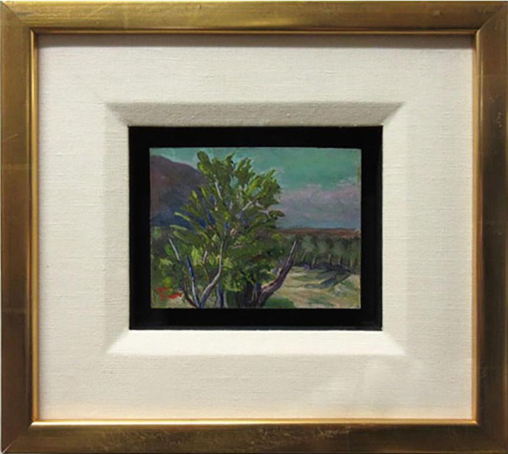 Marjorie (Jorie) Elizabeth Thurston Smith (1907-2005) - Untitled (Tree Top)