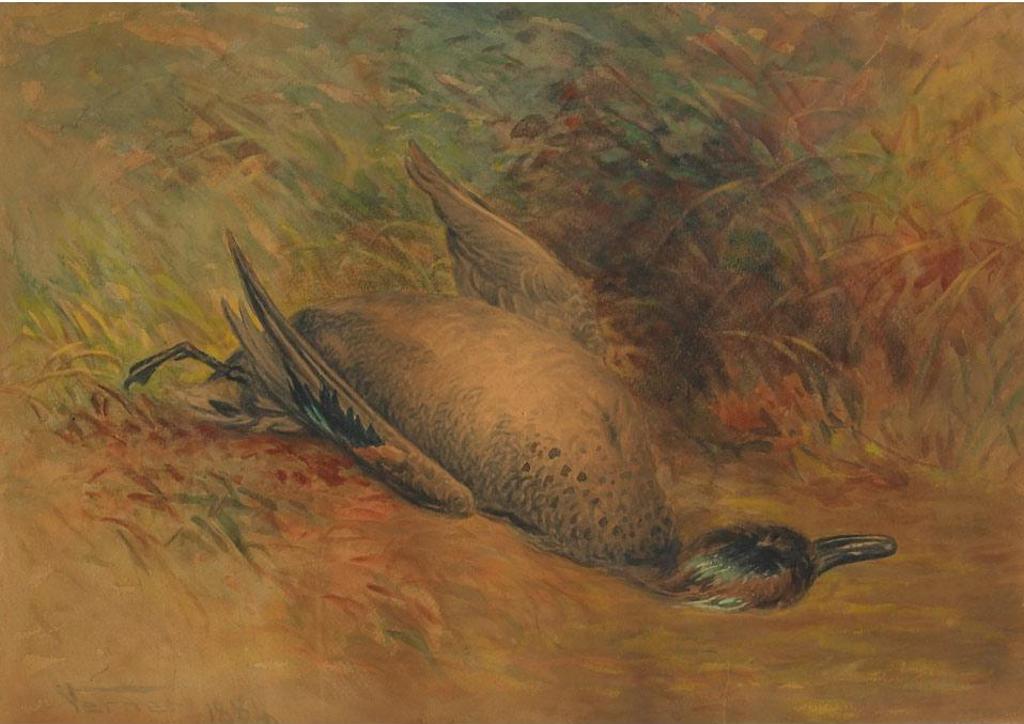 Frederick Arthur Verner (1836-1928) - Study Of A Duck