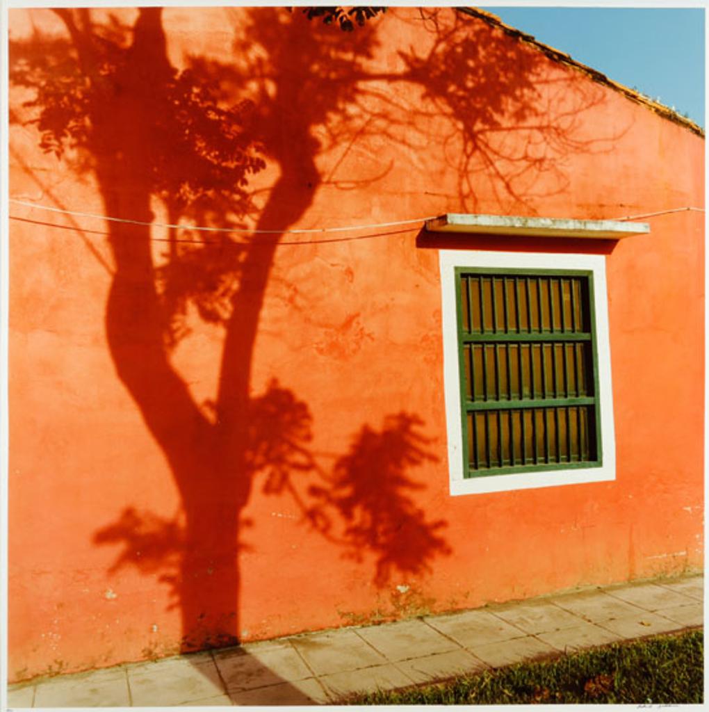 Rafael Goldchain (1953) - Tree Shadow on Red Wall (03362)