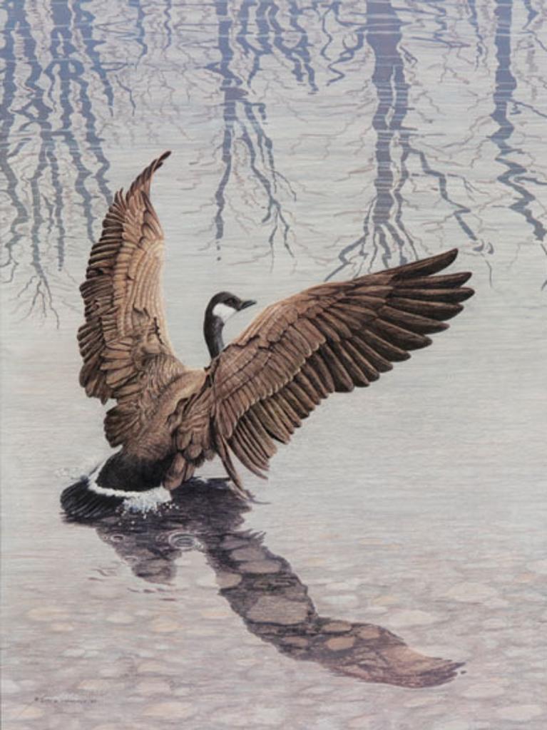 Gary M. Krawchuk - Canada Goose (03247/473)