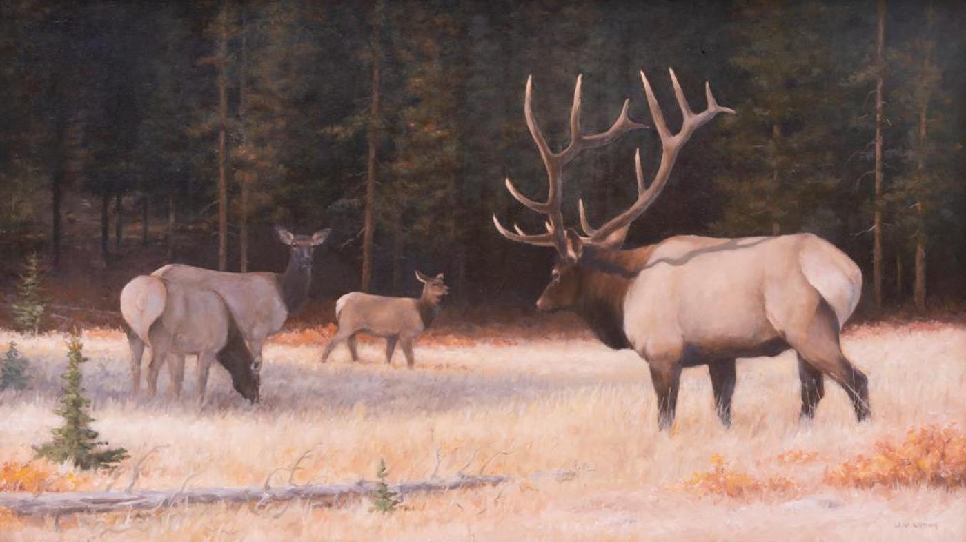 Jim Lyons - Elk Family