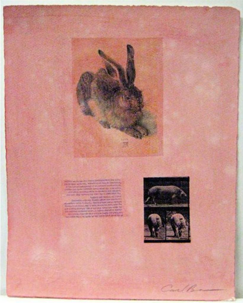 Carl Beam (1943-2005) - Nature Study (Rabbit/Pigs)