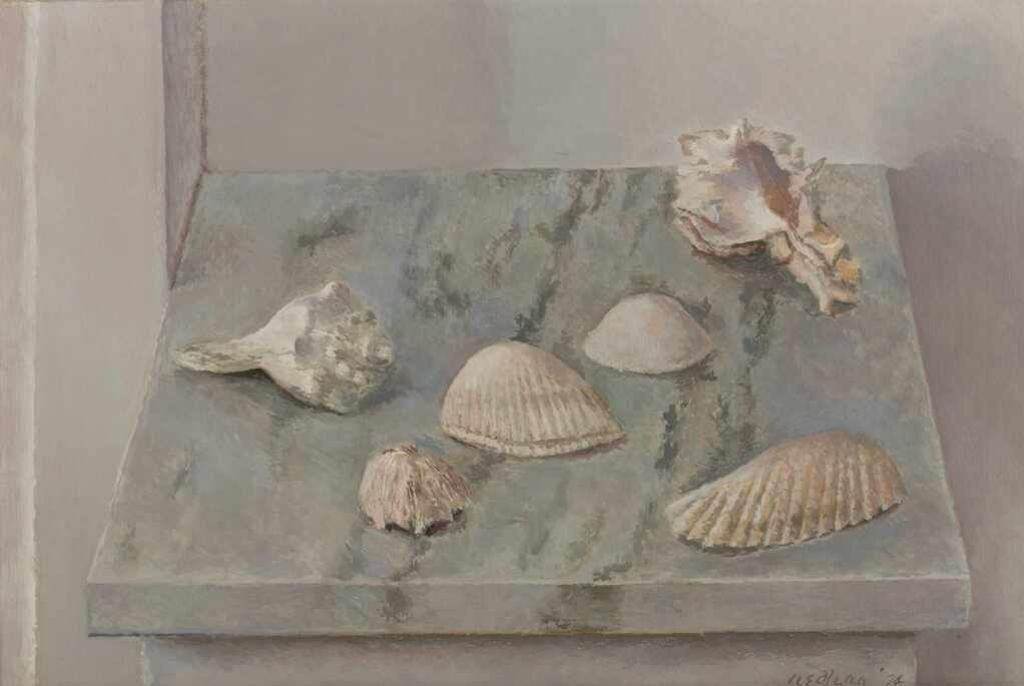 Charles Kinghorn Redfern (1919-1982) - Still Life with Seashells (1974)