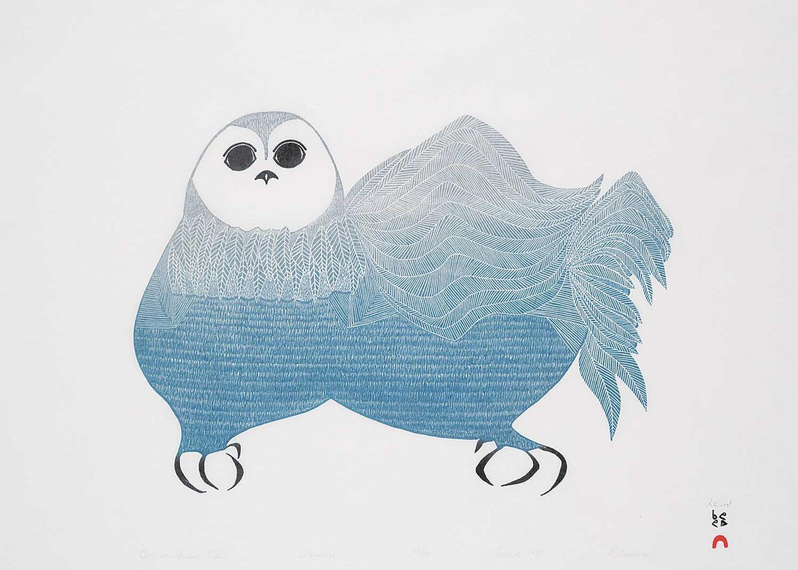 Saila - Owl in Arctic Mist  #39/50