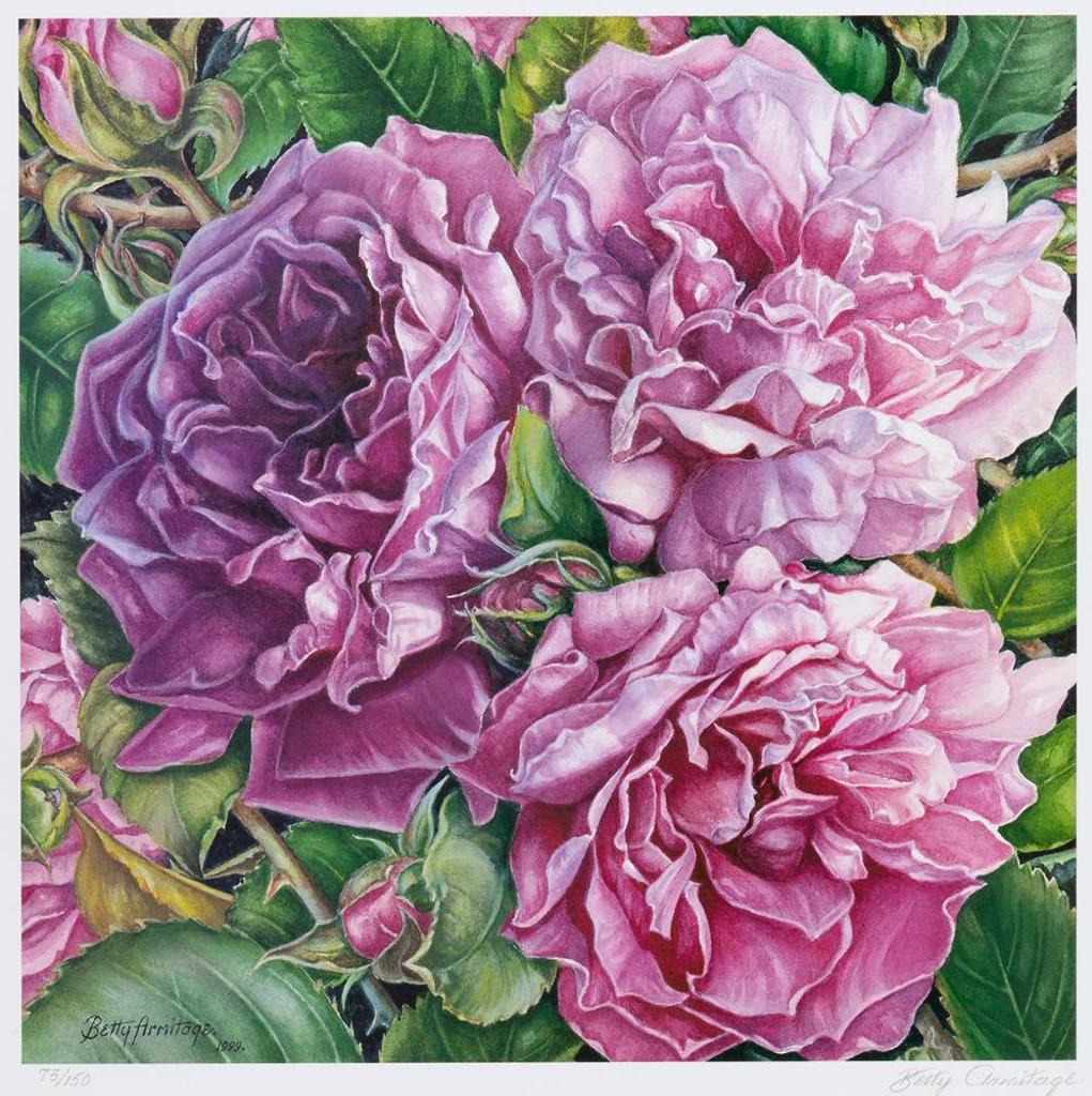 Betty Armitage (1923-2005) - Vintage Cabbage Rose