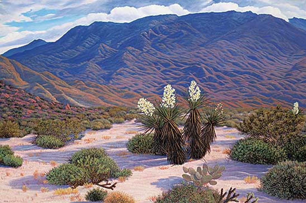 Mark Spicak - Untitled - Sunset in the Desert
