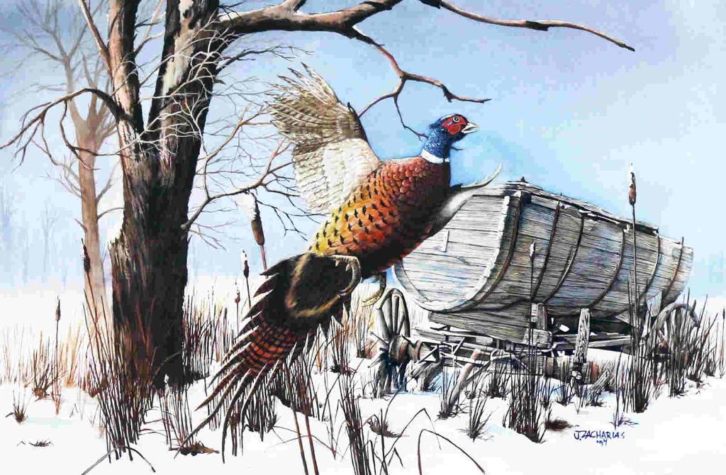 John Zacharias (1944) - Riing-Necked Pheasant; 1994