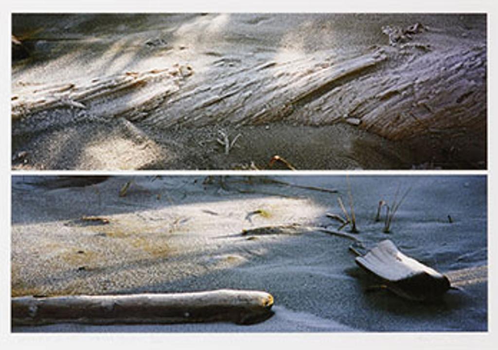 Karen Curry (1954) - Dunes II + III - Haida Gwaii (03956)