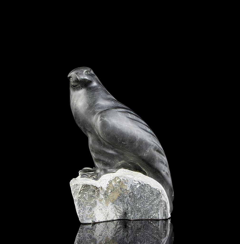 Cathy Jenkins - a black stone carving of a hawk