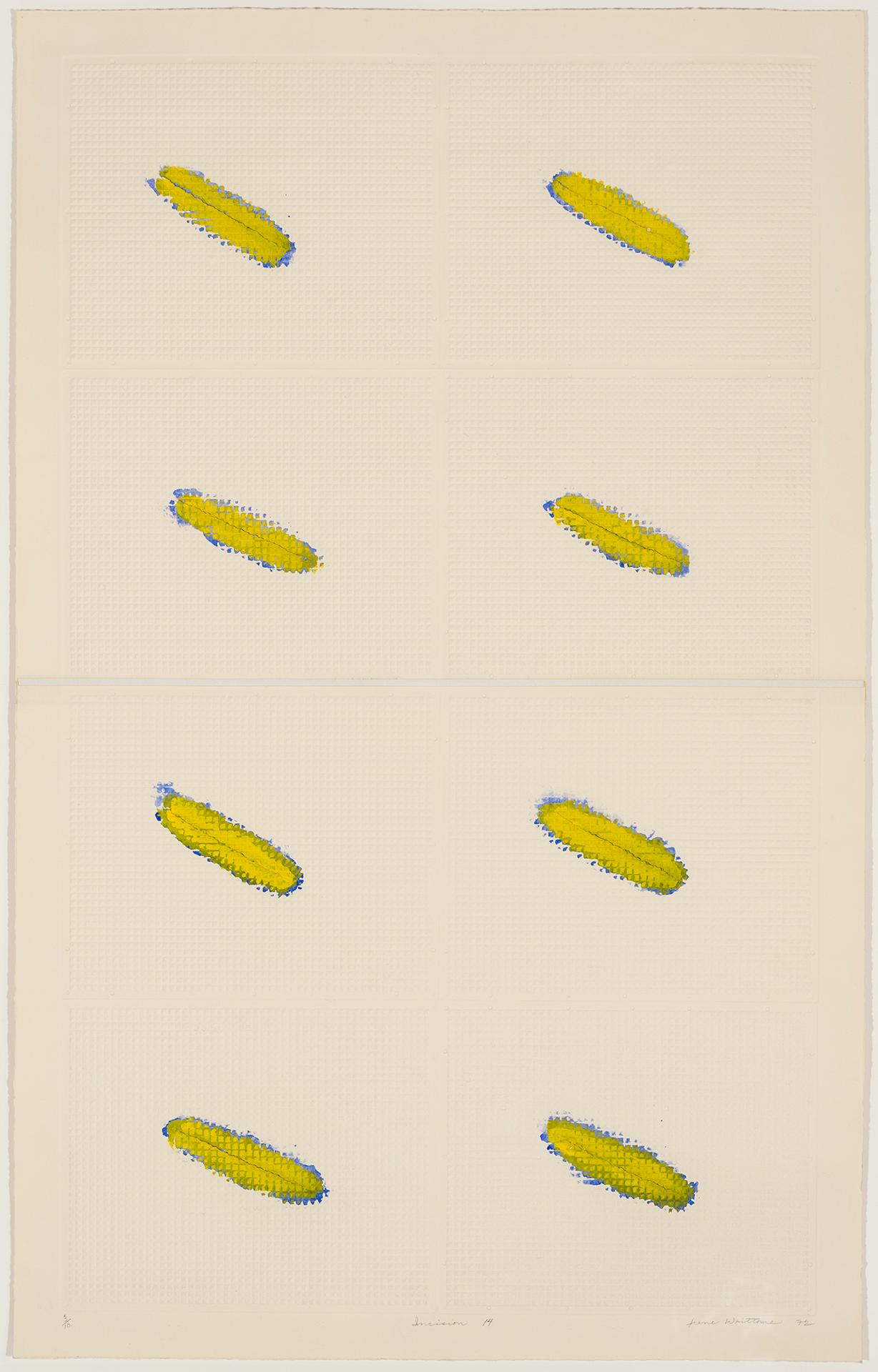 Irene F. Whittome (1942) - Incisions no. 14, 1972