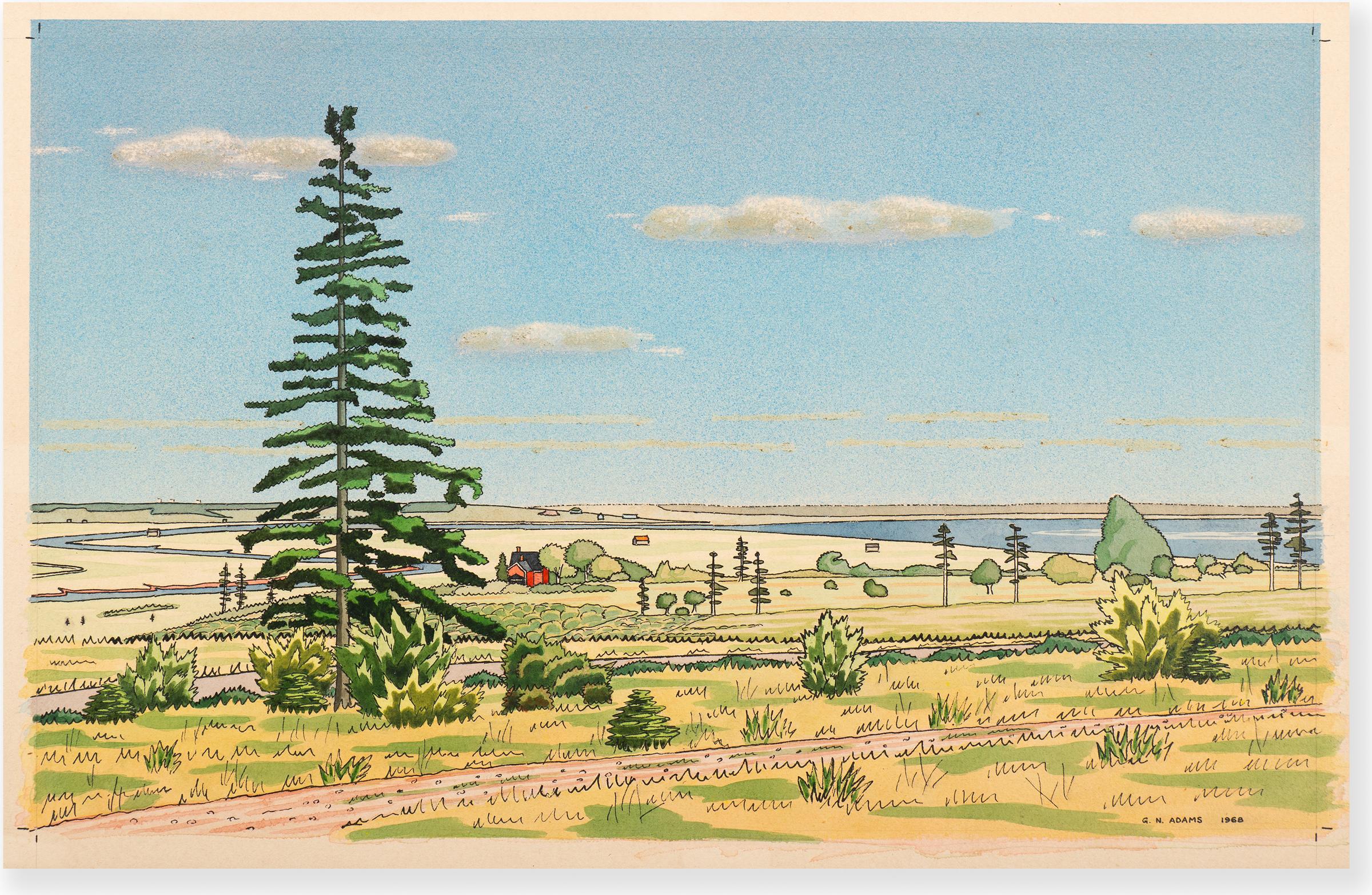 Glenn Adams (1928-2011) - Untitled
