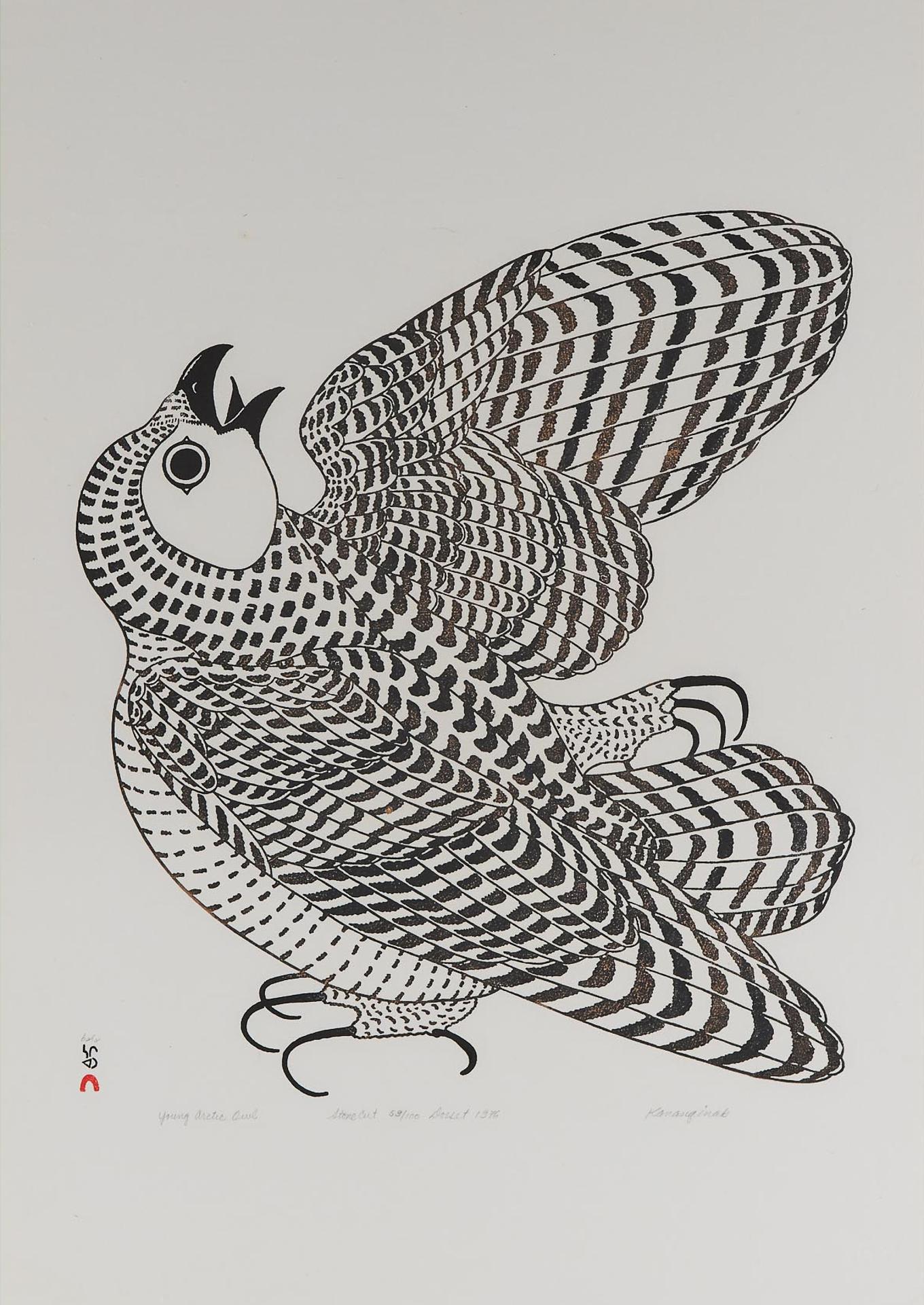 Kananginak Pootoogook (1935-2010) - Young Arctic Owl, 1976