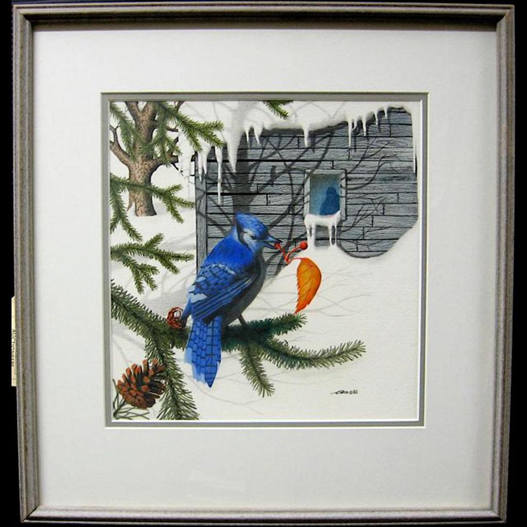 Ronald - Blue Winter 1 - Bluejay