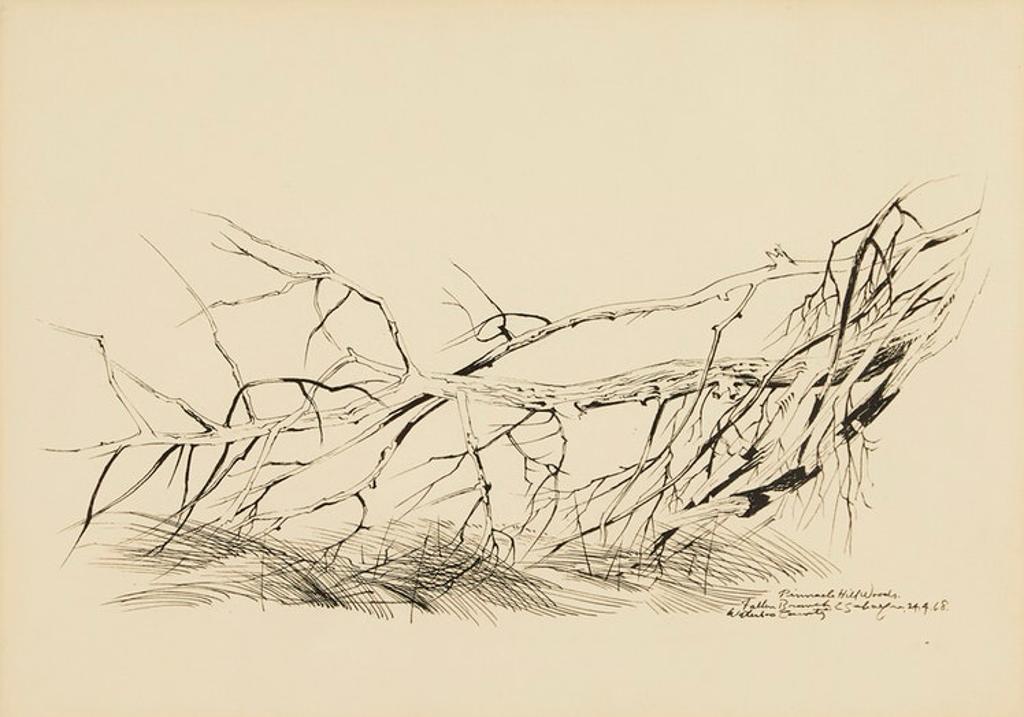 Carl Fellman Schaefer (1903-1995) - Fallen Branch, Pinnacle Hill Woods