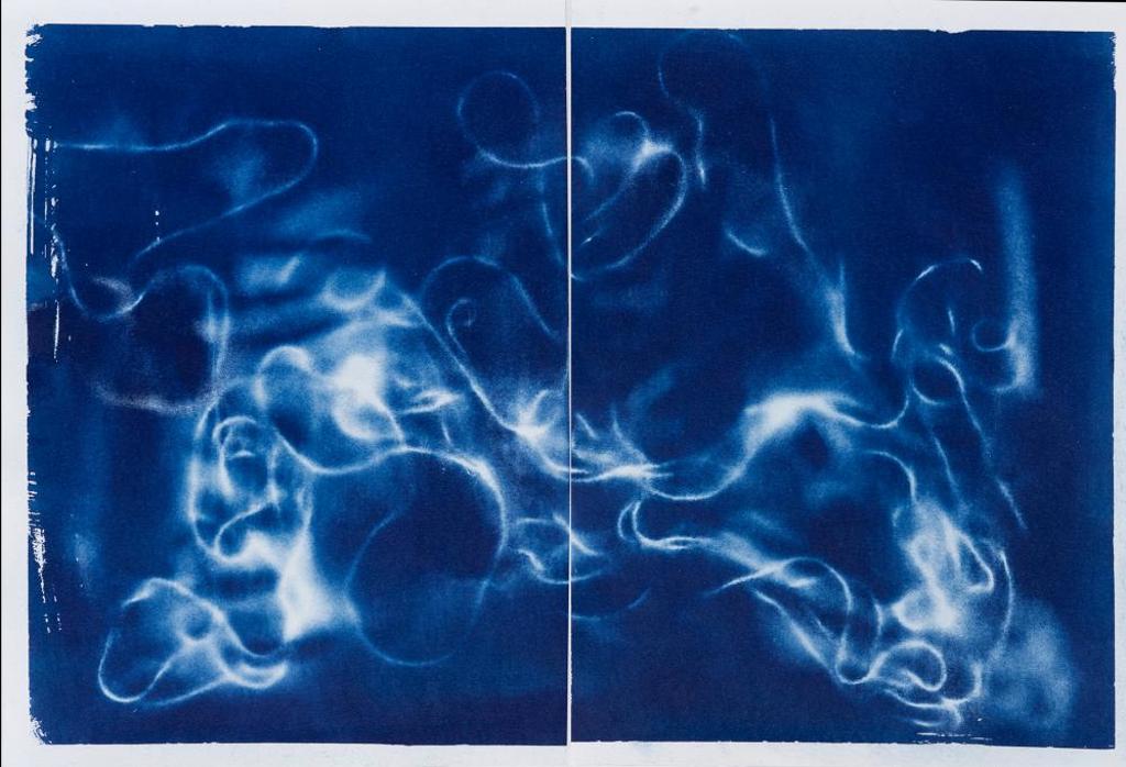 Sheldon Brown (1988) - Untitled - Swirling Cyanotype Diptych