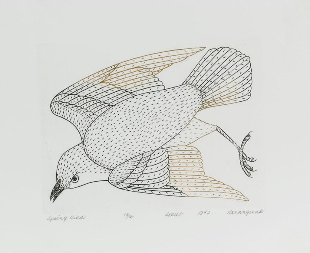 Kananginak Pootoogook (1935-2010) - Spring Bird