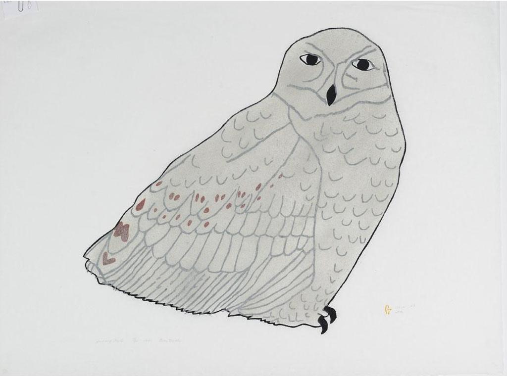 Marjorie Esa (1934) - Snowy Owl