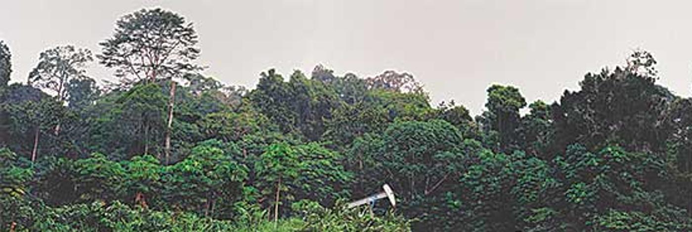 Simon Townsley (1963) - Pumpjack Maintenance, Rainforest, Gabon