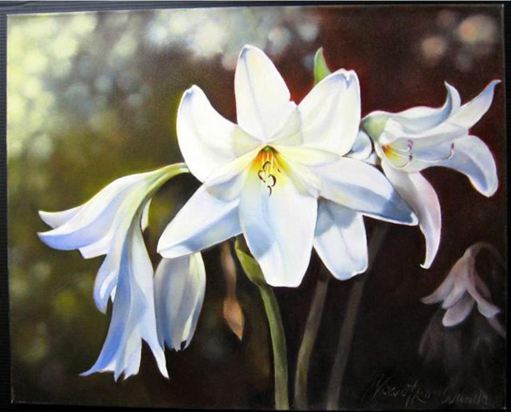 Wanda Nowotko - White Lilies