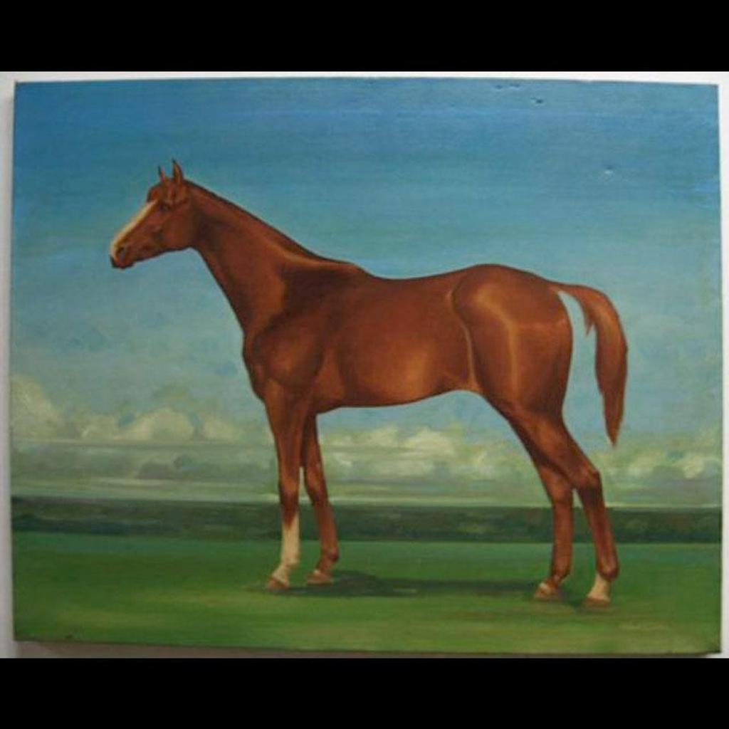Patrick Olee - Horse Studies