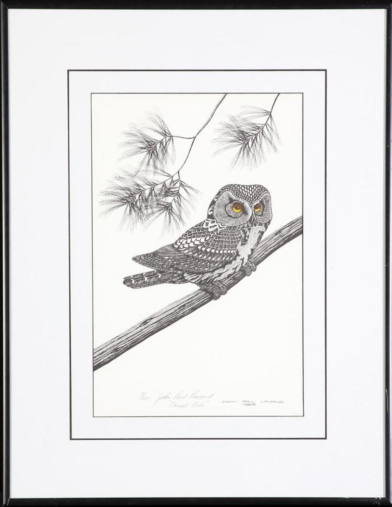 John Paul Lavand (1962) - Boreal Owl
