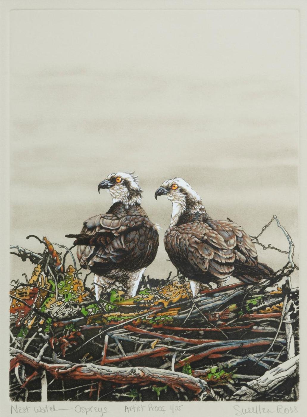 Sueellen Ross (1941) - Nest Watch - Ospreys