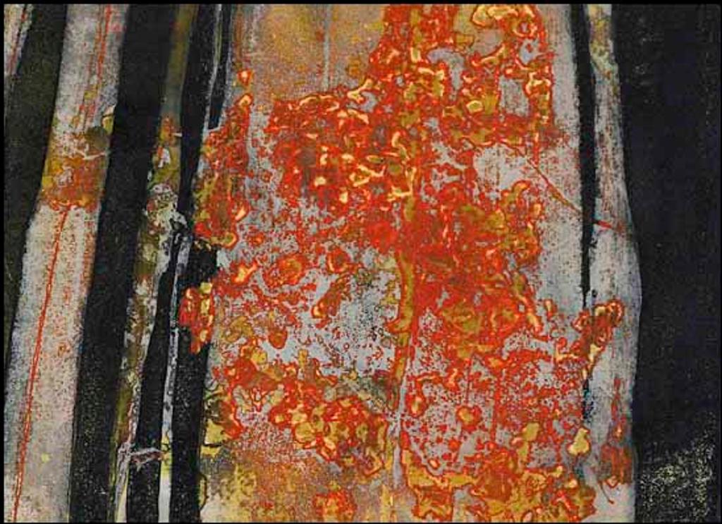 Edward John (Ted) Bartram (1938-2019) - Orange Lichen (Precambrian Shield series) (01556/2013-2491)