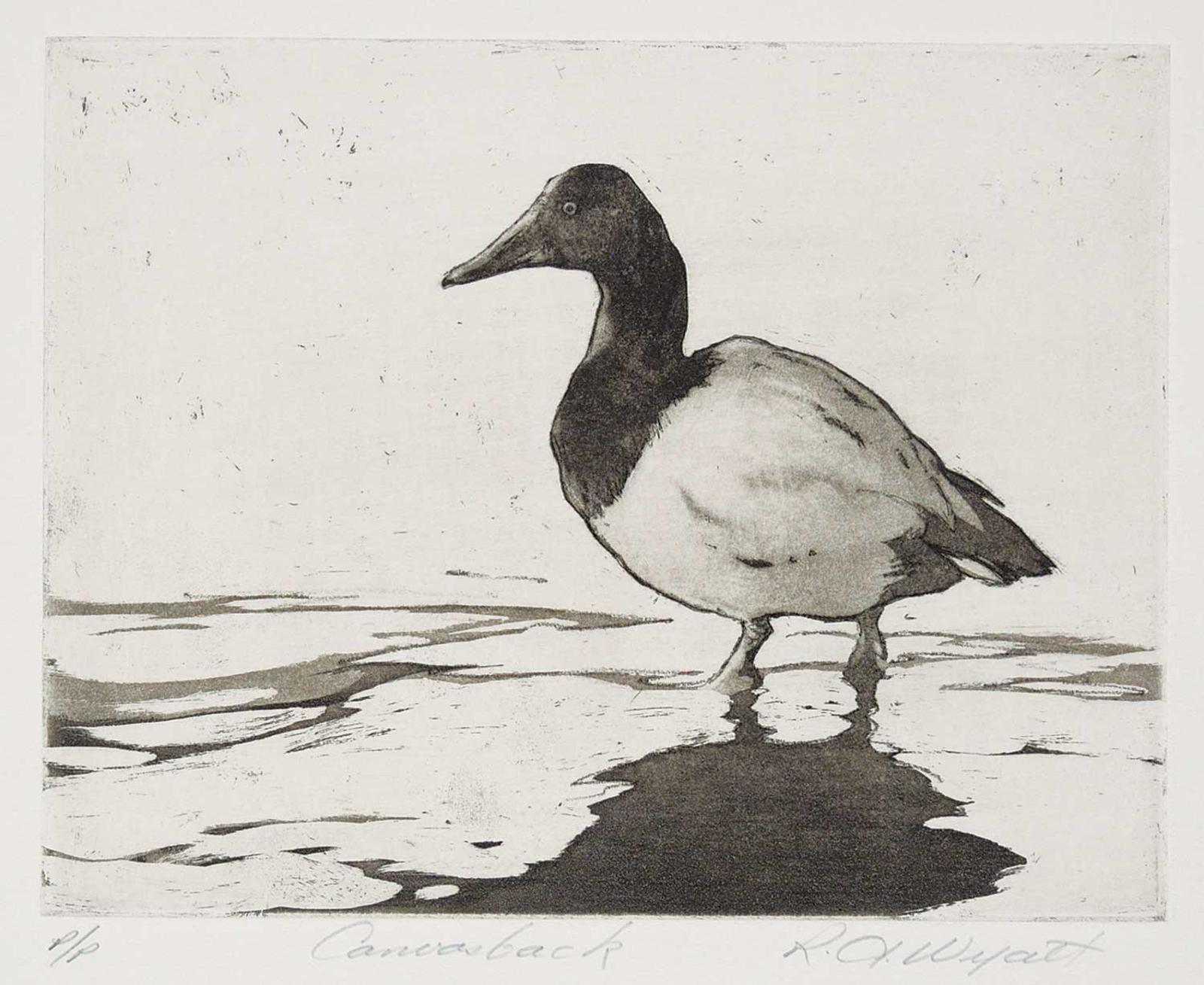 Robert A. Wyatt (1946) - Canvasback  #P/P