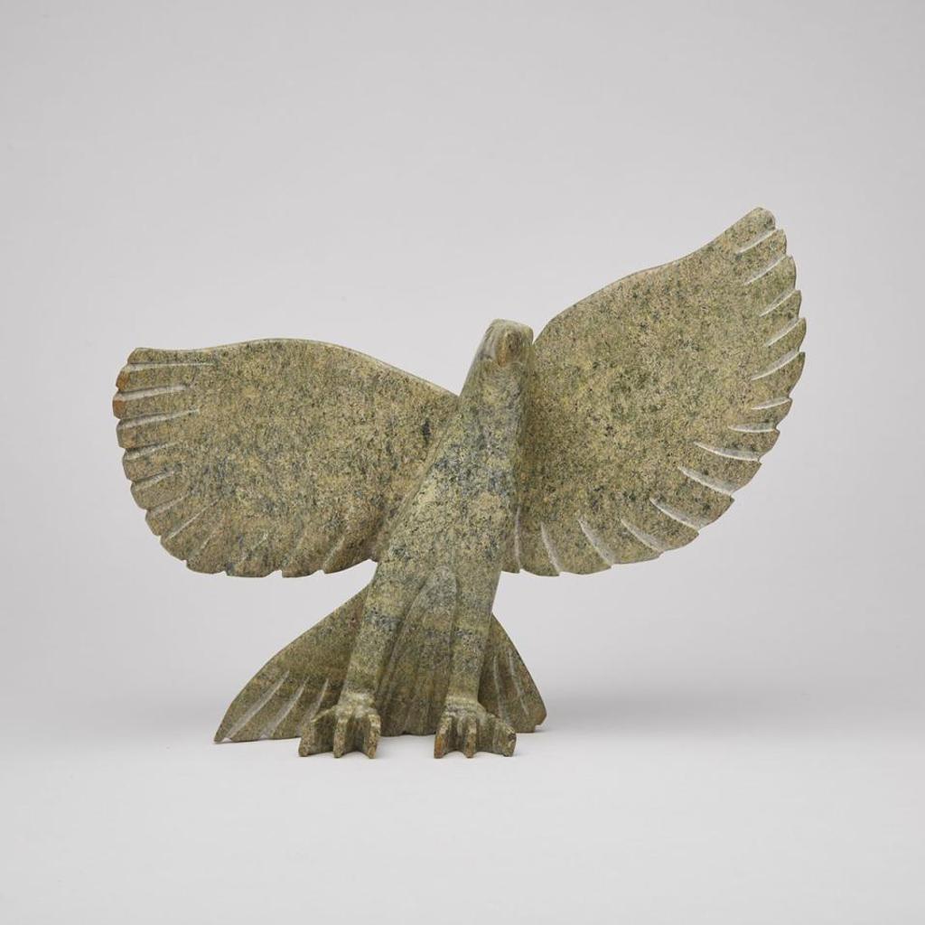 Tutuuya Kasimak - Eagle With Spread Wings