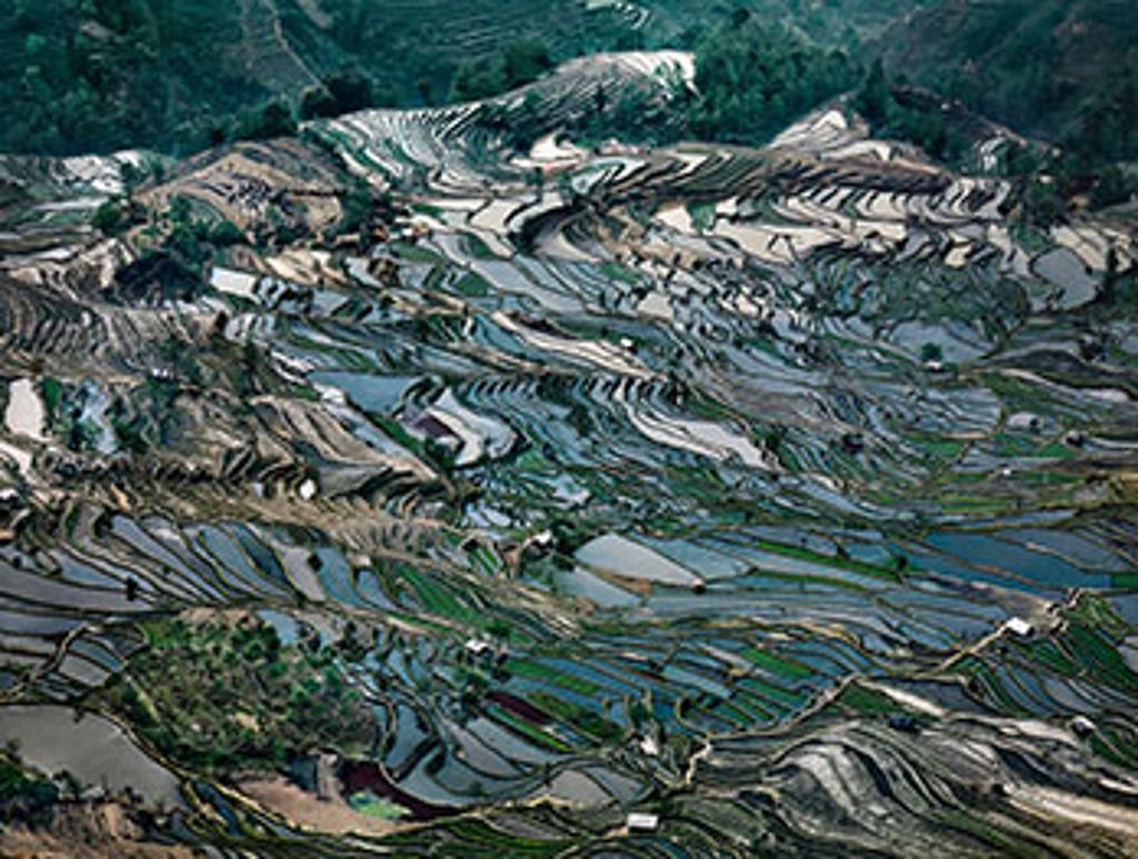 Edward Burtynsky (1955) - Rice Terraces #5, Western Yunnan Province, China