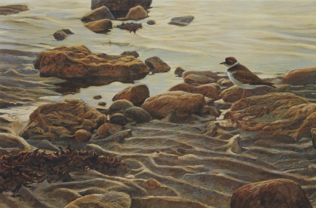 Robert Mclellan Bateman (1930-1922) - Flight of the Plover