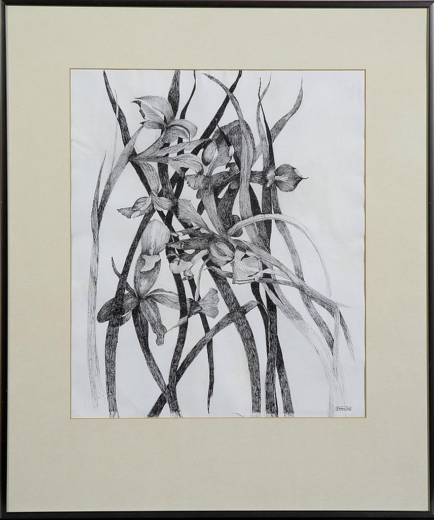 P. Hall - Untitled - Untitled (Irises)
