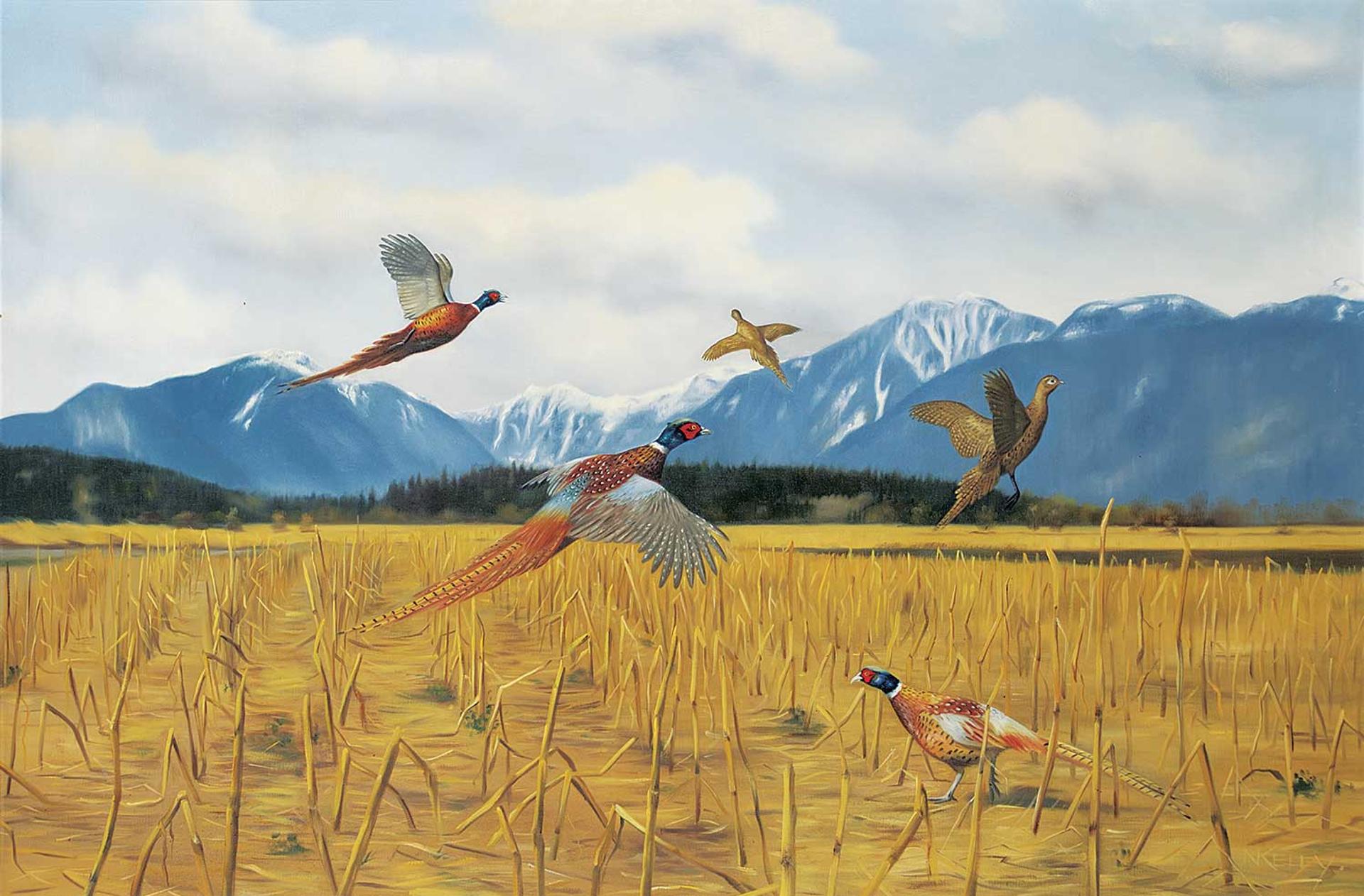 Norman Kelly (1939) - Cornfield Pheasants