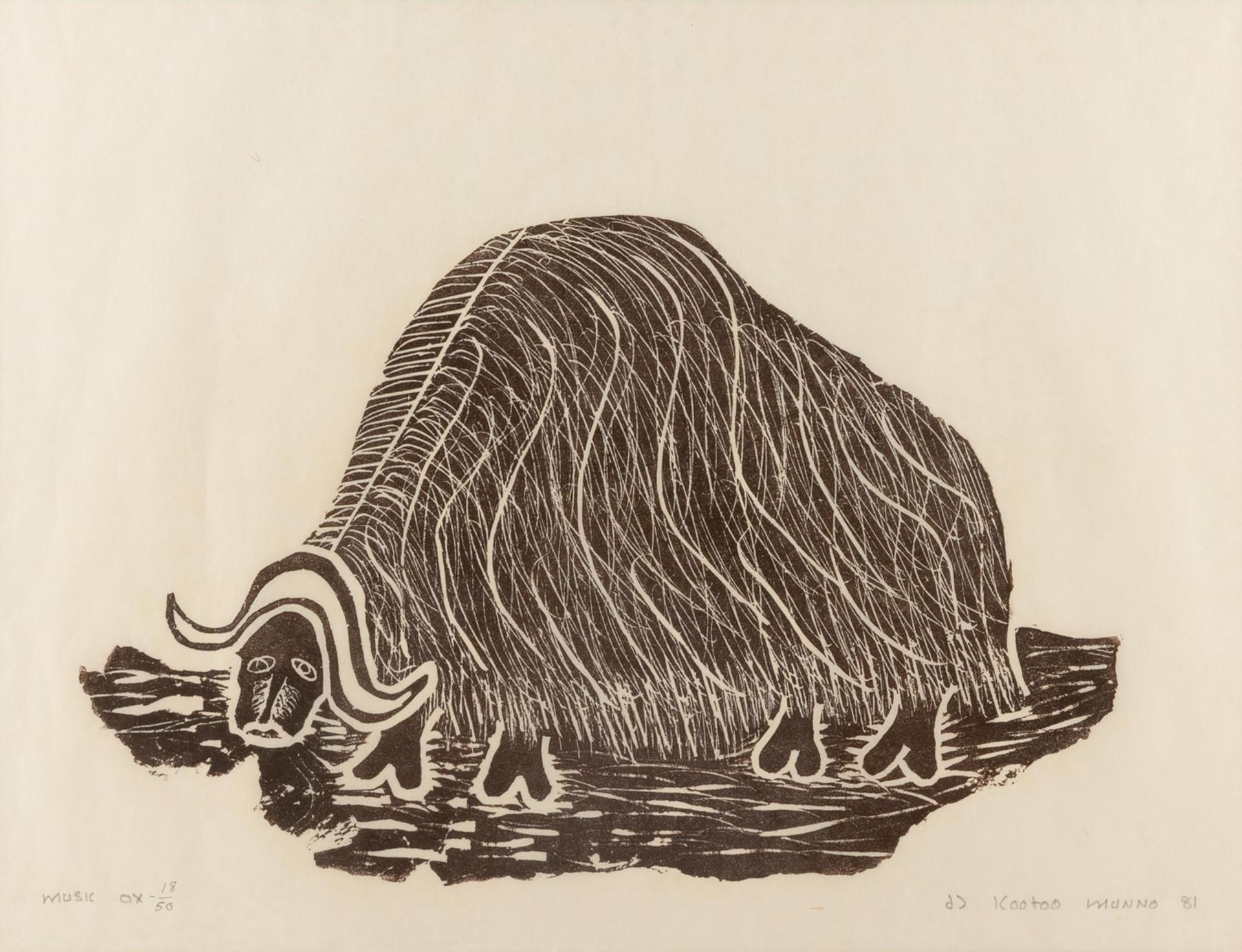 Kootoo Munno (1952) - MUSK OX, 1981