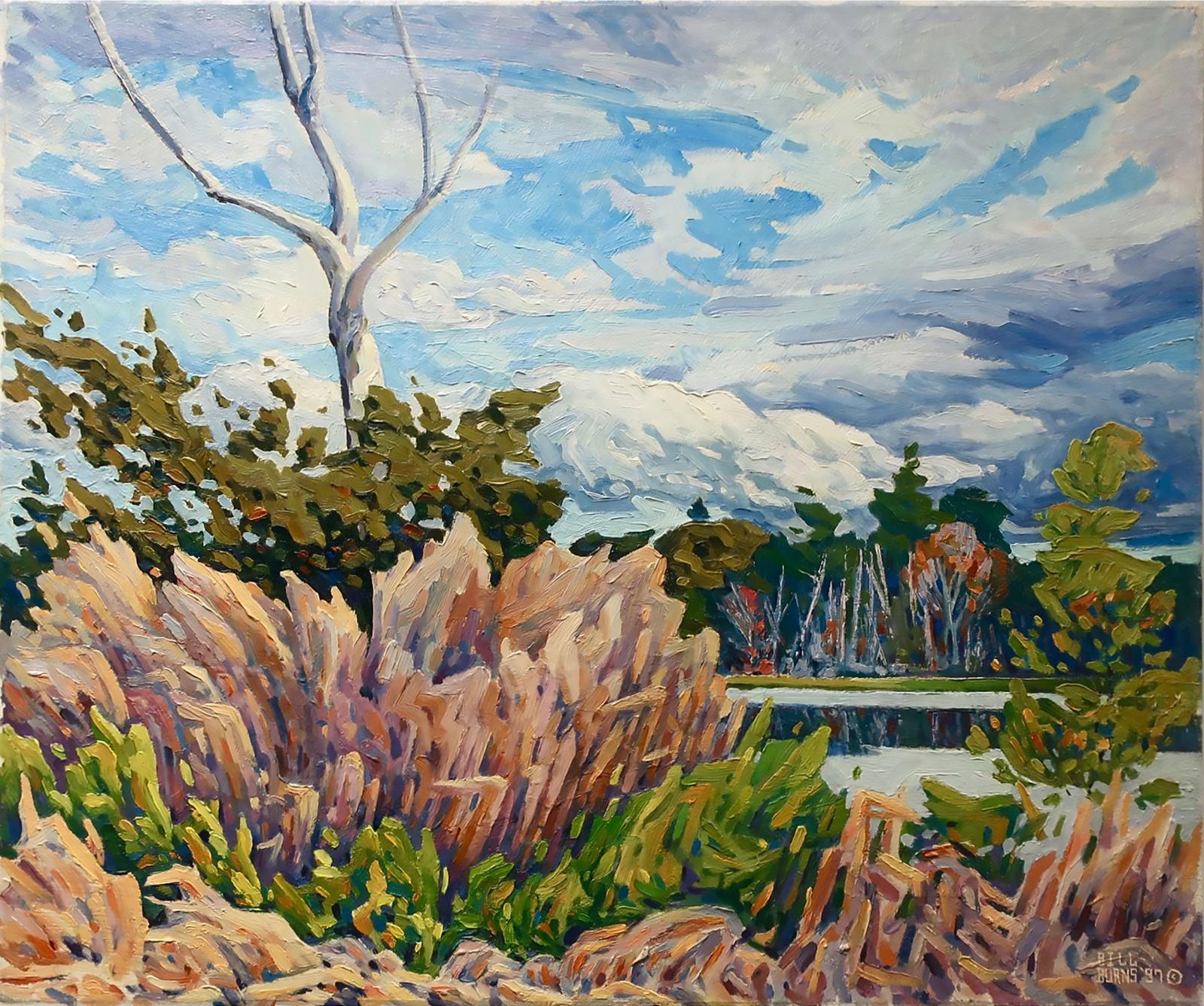 Bill Burns (1960) - Peter's Pond, Georgian Bay