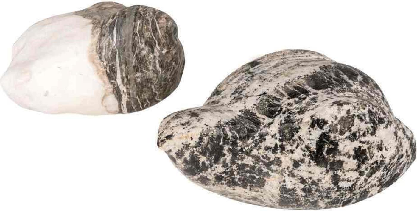 E.B. Cox (1914-2003) - Two carved stone sculptures depicting small birds by Canadian sculptor E.B. Cox. Both signed 'E.B. Cox' to the underside. Canadian
