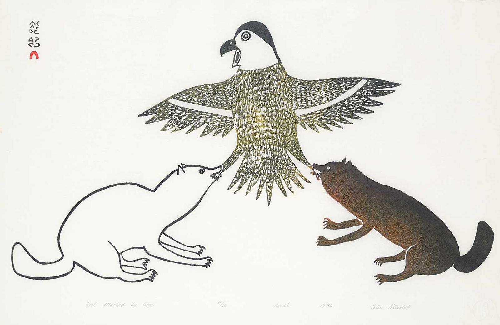 Pitseolak - Owl Attacked by Dogs  #46/50