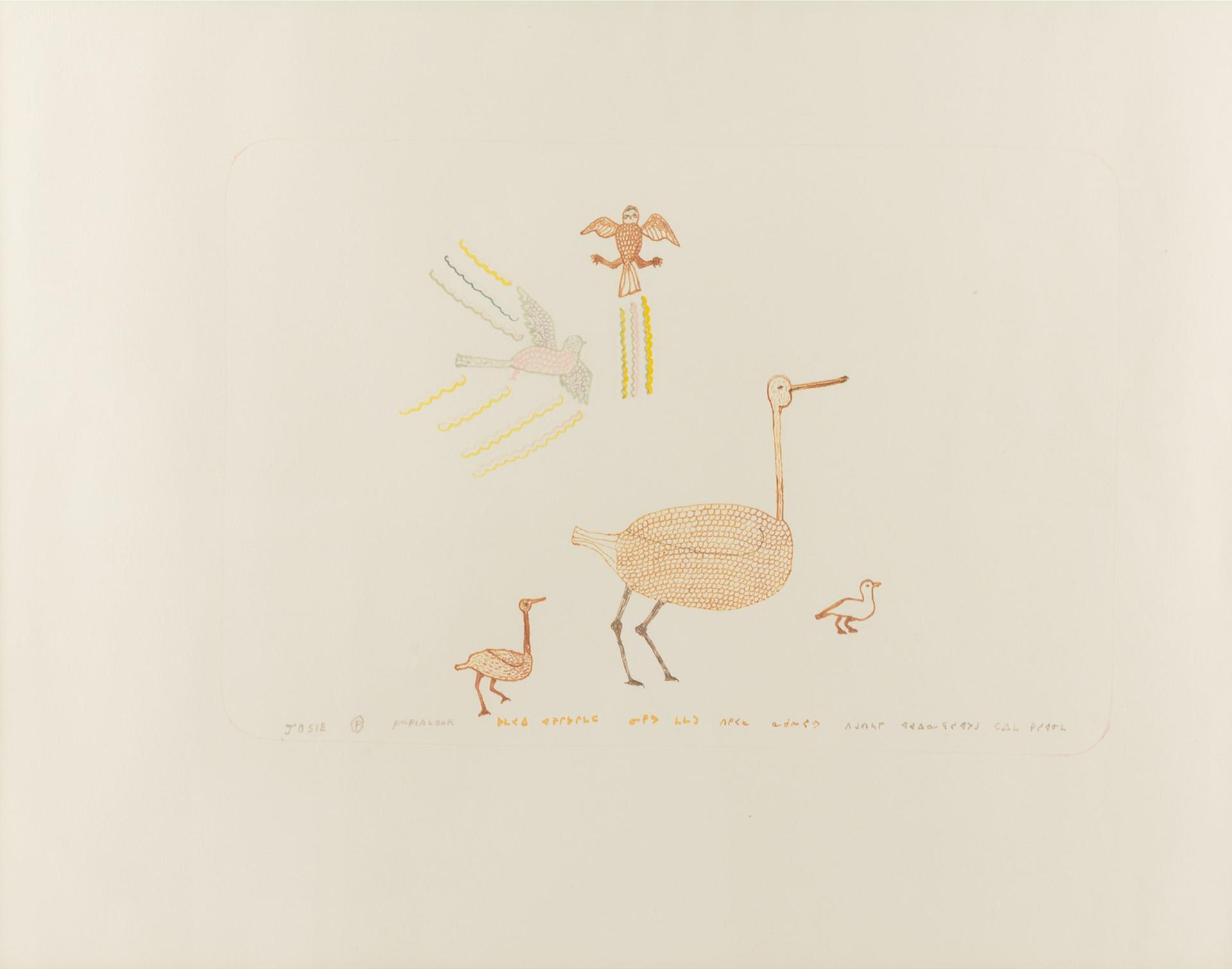 Josie Pamiutu Papialuk (1918-1996) - Bird Life