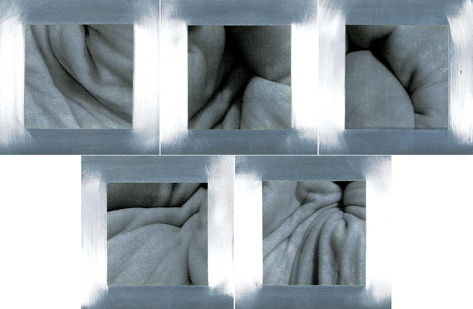 Tamara Maggio - Untitled - Folds  #1/3