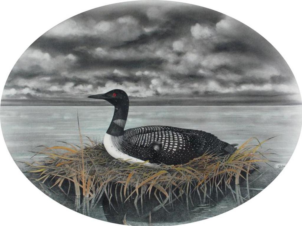 Kieron Guiboche - Nesting Loon; 1987