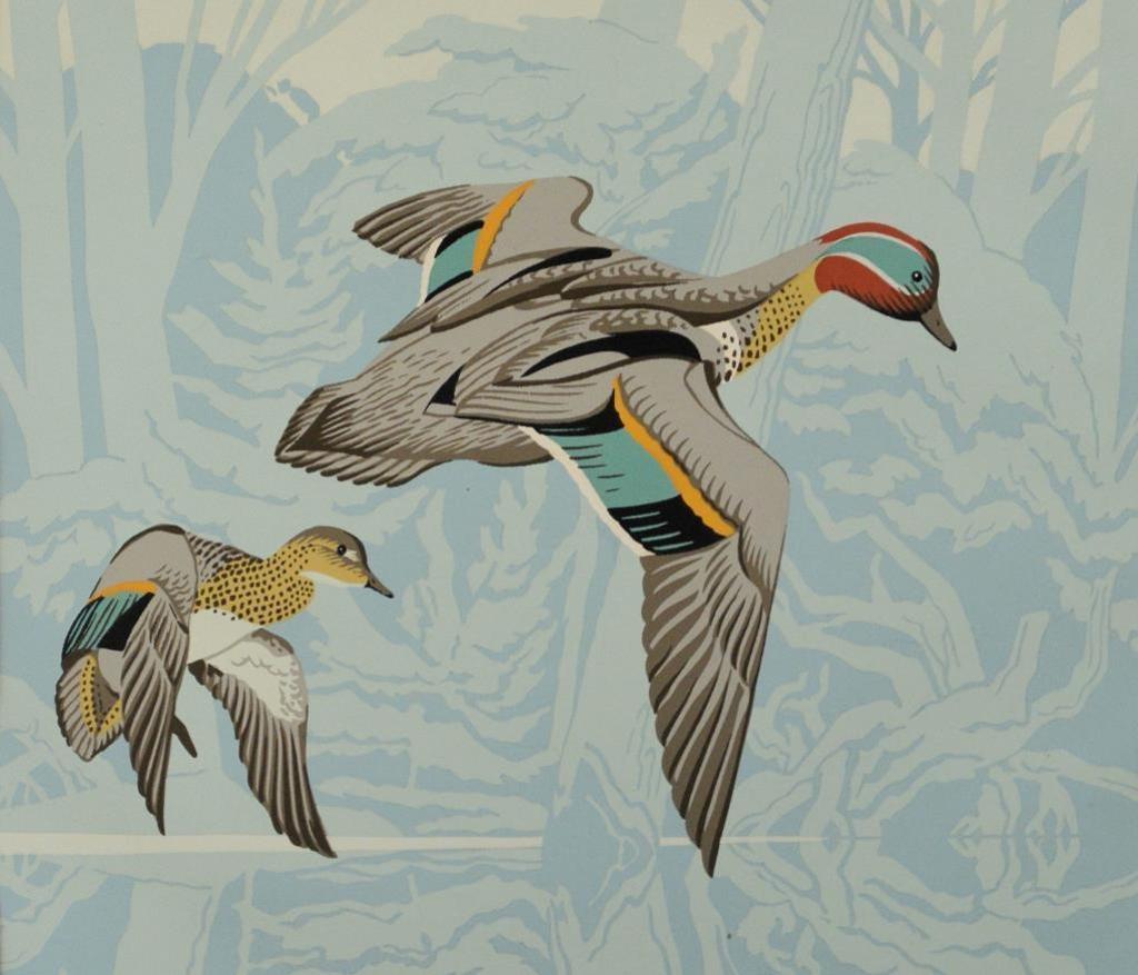 Alfred Joseph (A.J.) Casson (1898-1992) - Green Wing Teal