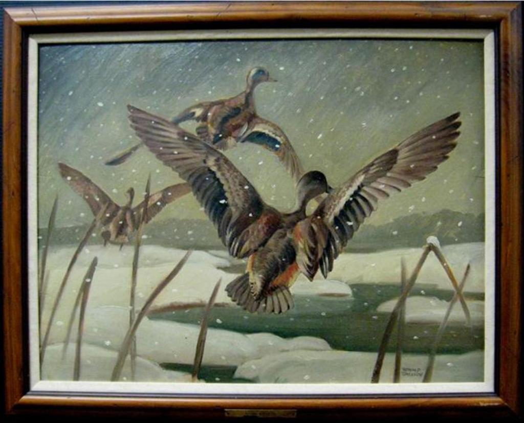 Ronald Threlkeid Jackson (1902-1992) - Rising Widgeon