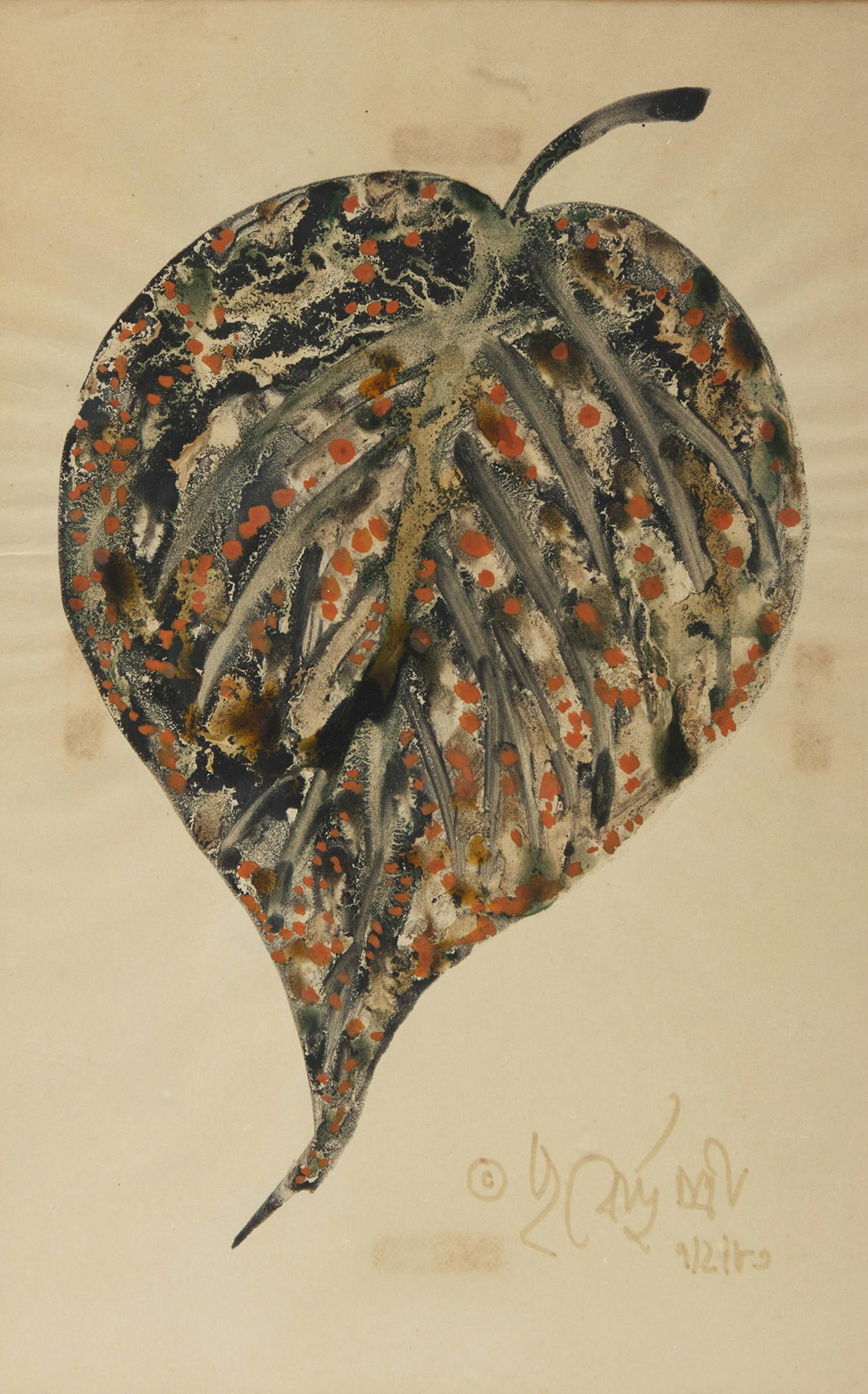 Poonen Duputtree - Plant Study and Two Floral Studies