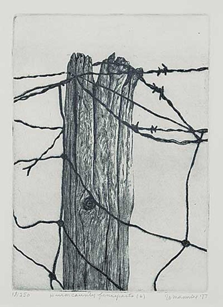 Jo Manning (1923-2022) - Huron Country Fenceposts [6] #18/250