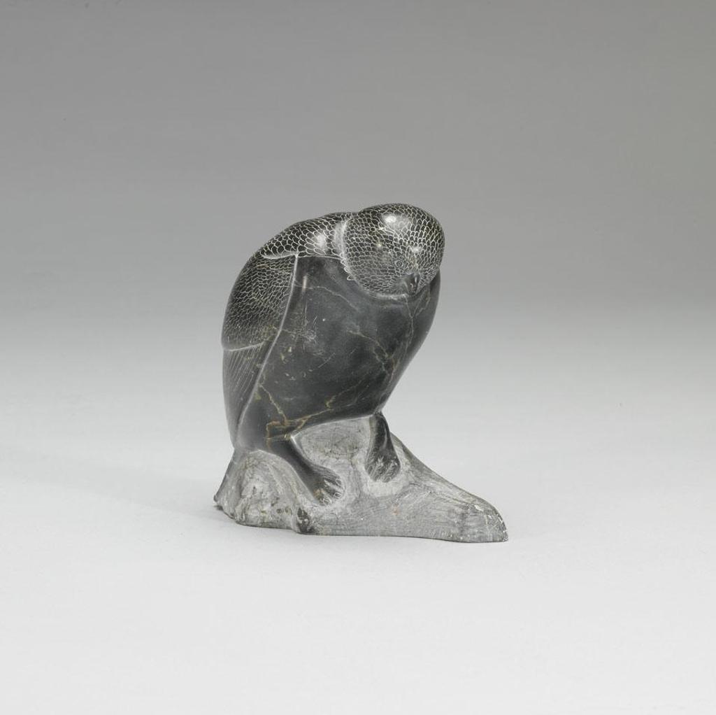 Johnny Amarqali Alasua (1939) - Bird On A Rock