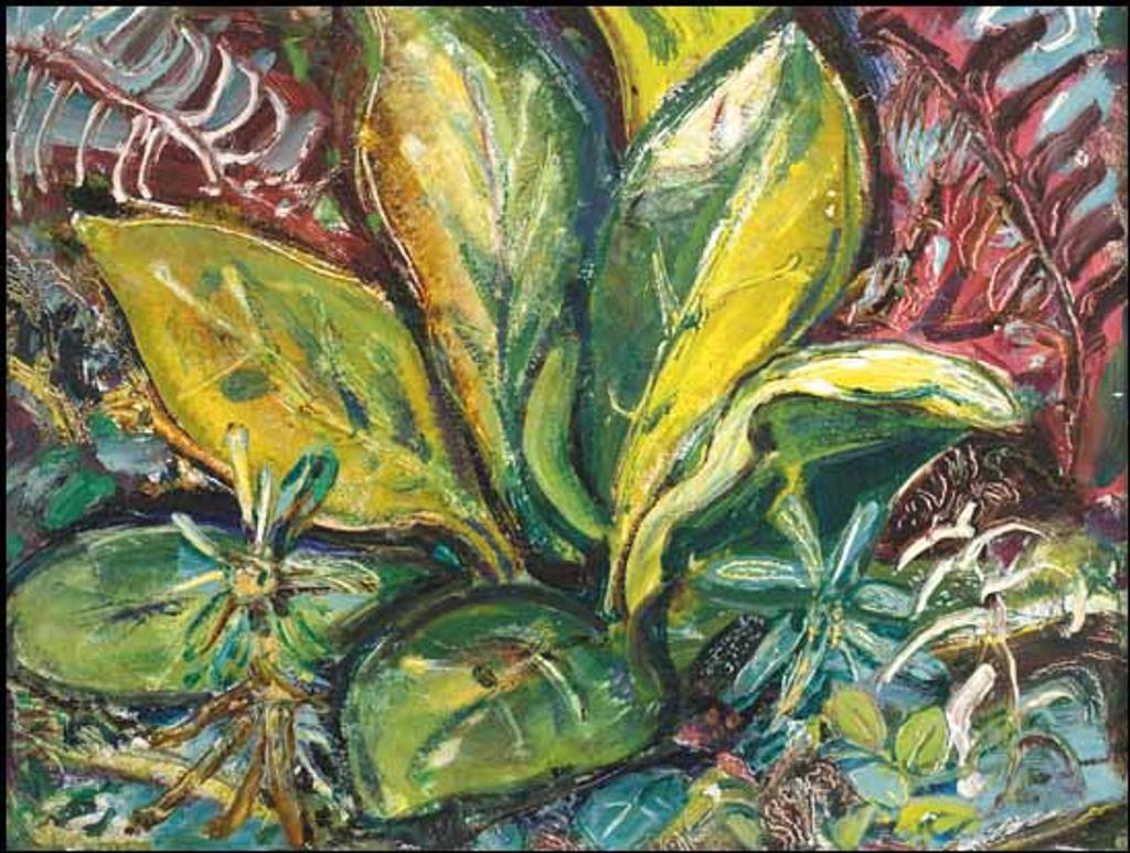 Arthur Lismer (1885-1969) - Skunk Cabbage No. 2